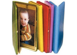 Lizard Print Photo Case