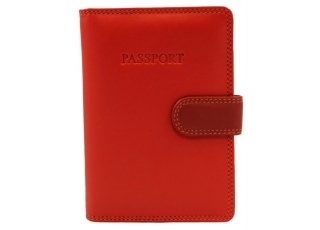 Colored Leather Passport Cases